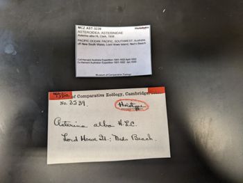 Media type: image; Invertebrate Zoology AST-3239   Description: label;
